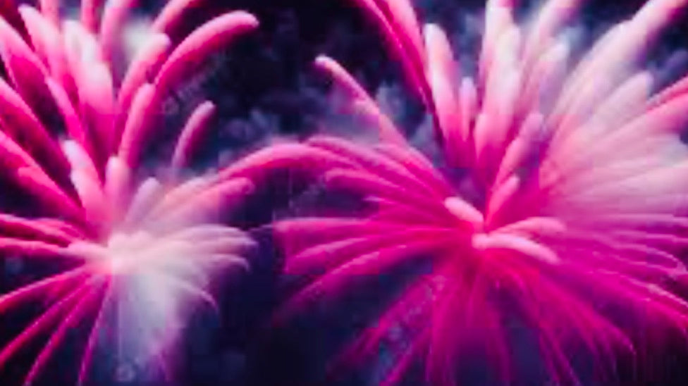 Over £400,000 of art sold!