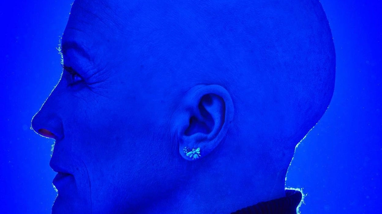 Lights, Camera Action!