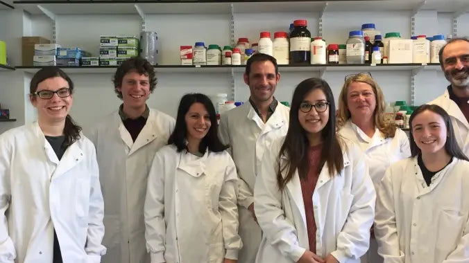 RESEARCH SELECTED 'How cancer cells divide'