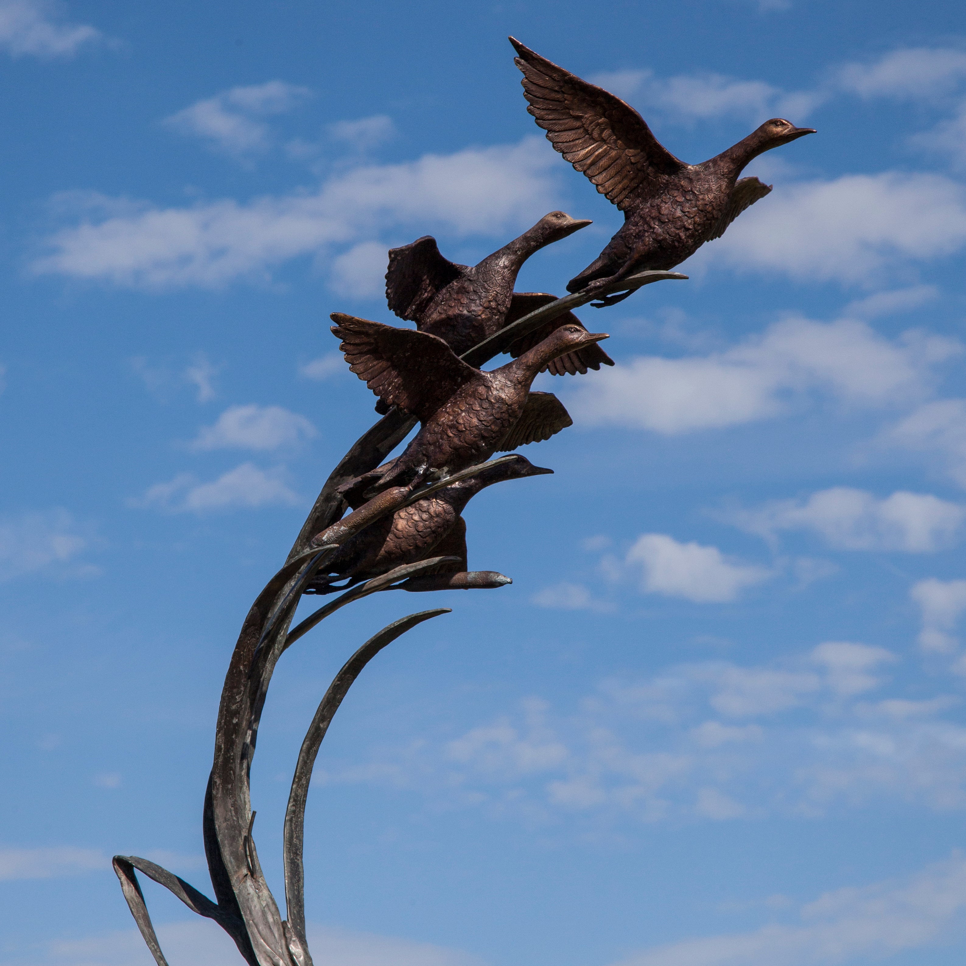 Garden sculpture of ducks in flight by John Cox