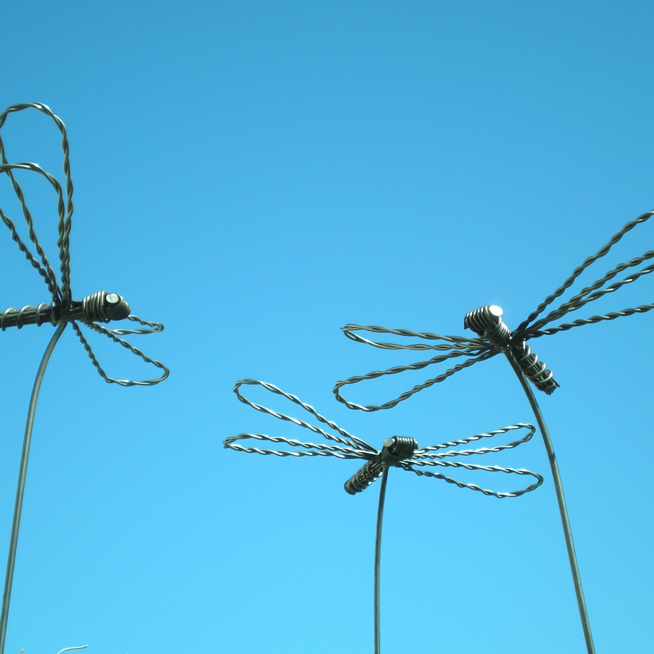 Wire garden sculpture of a dragonfly by Designs on Metal