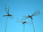 Wire garden sculpture of a dragonfly by Designs on Metal