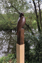 Mixed metal sculpture of kestrel bird by Paul Havey