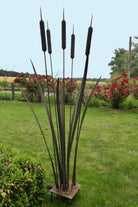 Garden sculpture of bulrush plant in rusting steel by Designs on Metal.