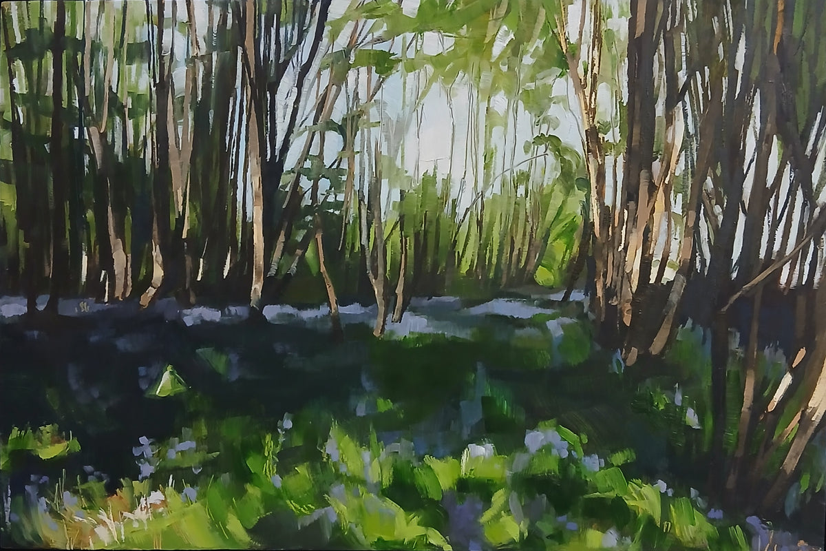 Bluebell Woods