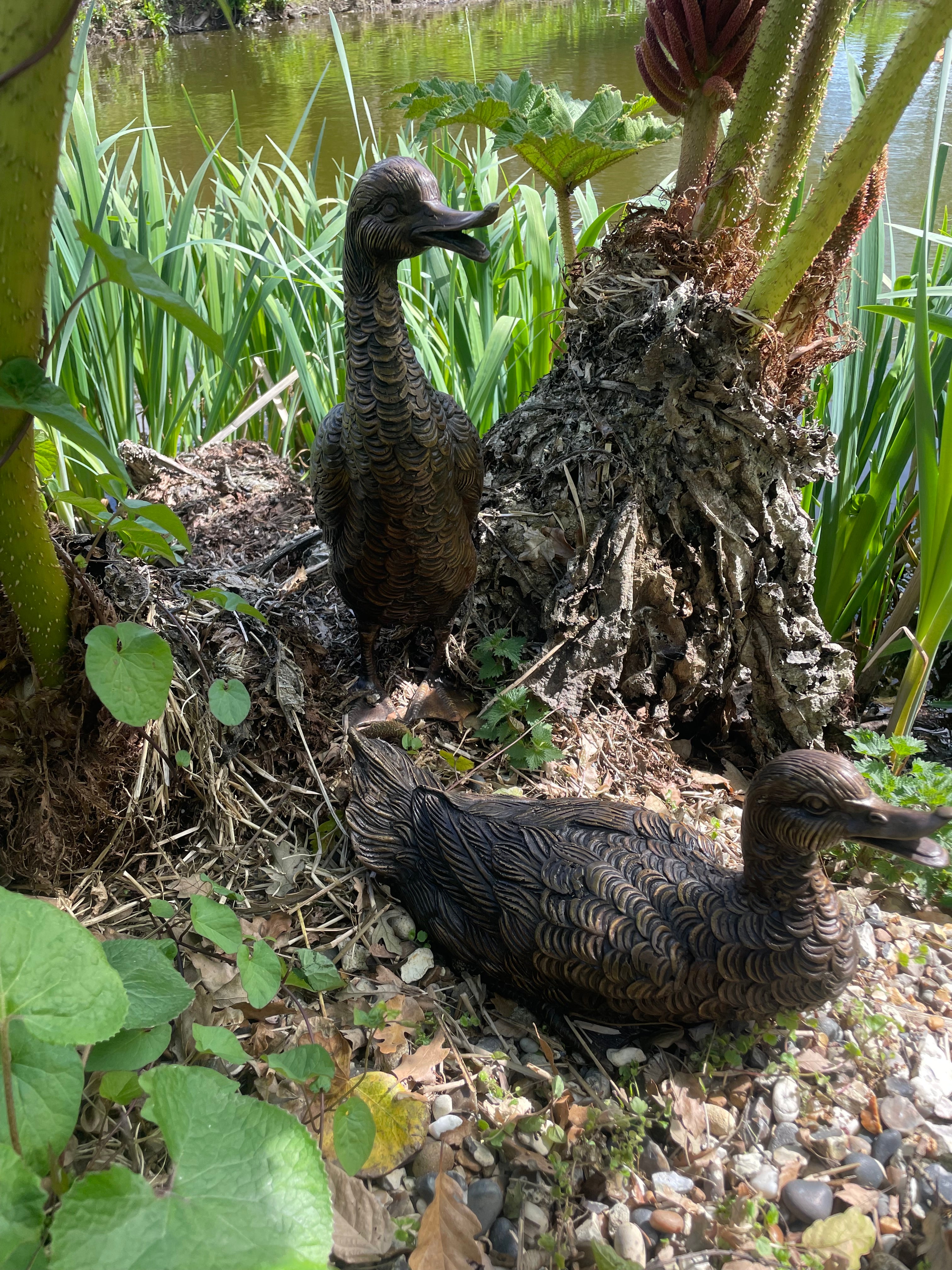 Pair of garden sculptures of bronze cast ducks by John Cox.