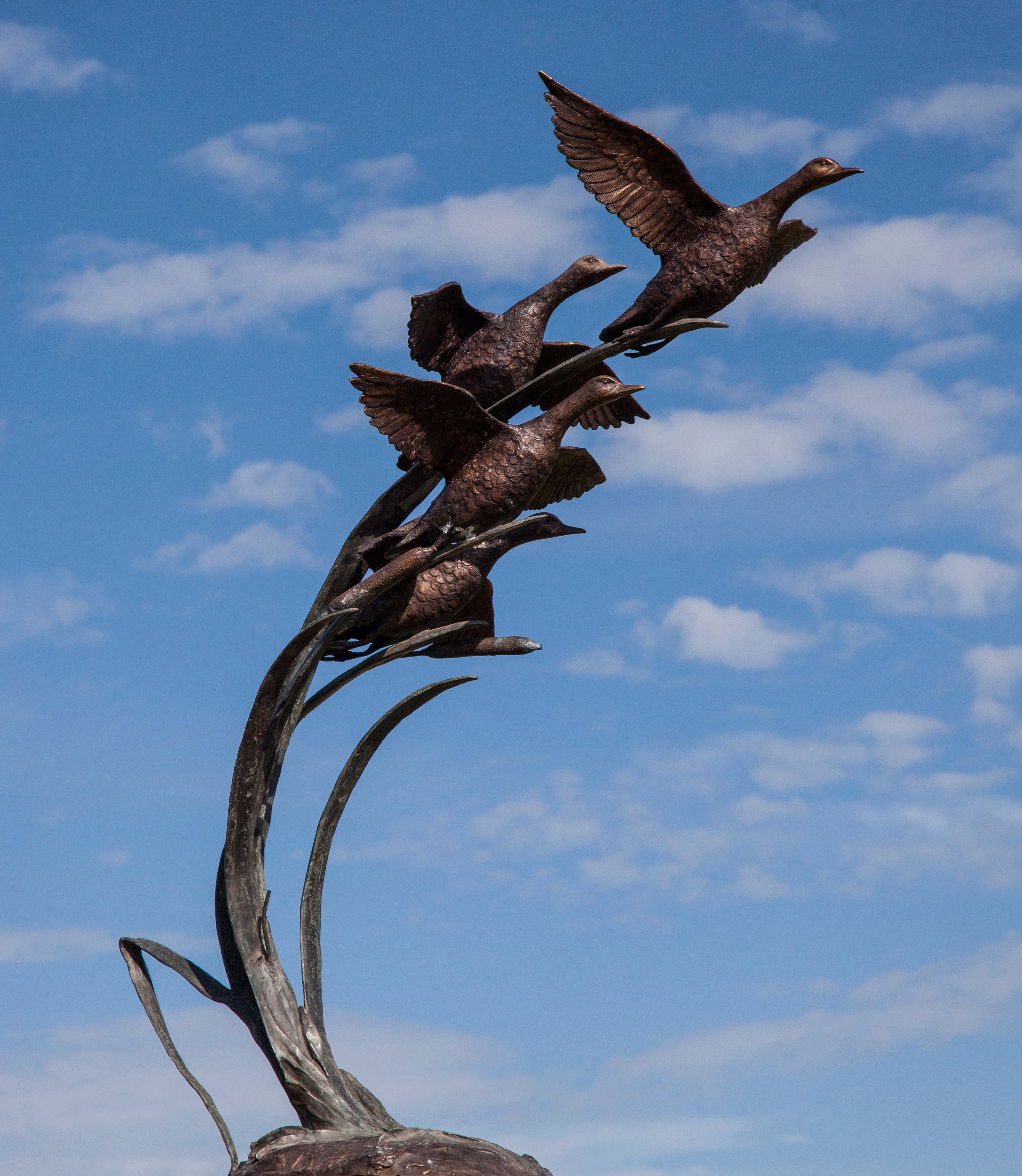 Garden sculpture of ducks in flight by John Cox