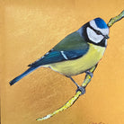 Gold foil background with oil painting of blue tit by Becky Munting