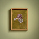 Painting of an iris by Jasmyn Fraser