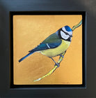 Gold foil background with oil painting of blue tit by Becky Munting