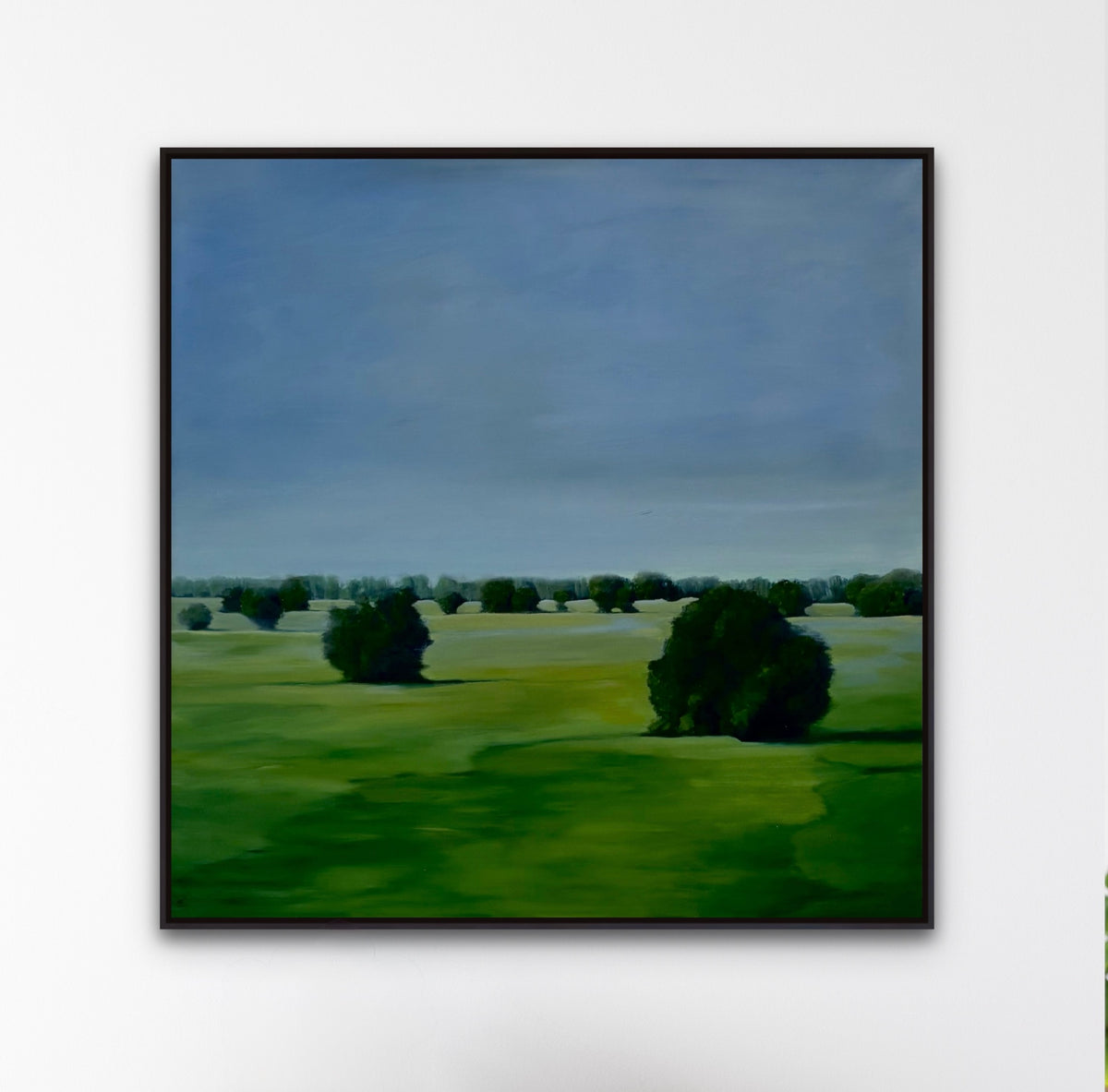 Resting Meadows