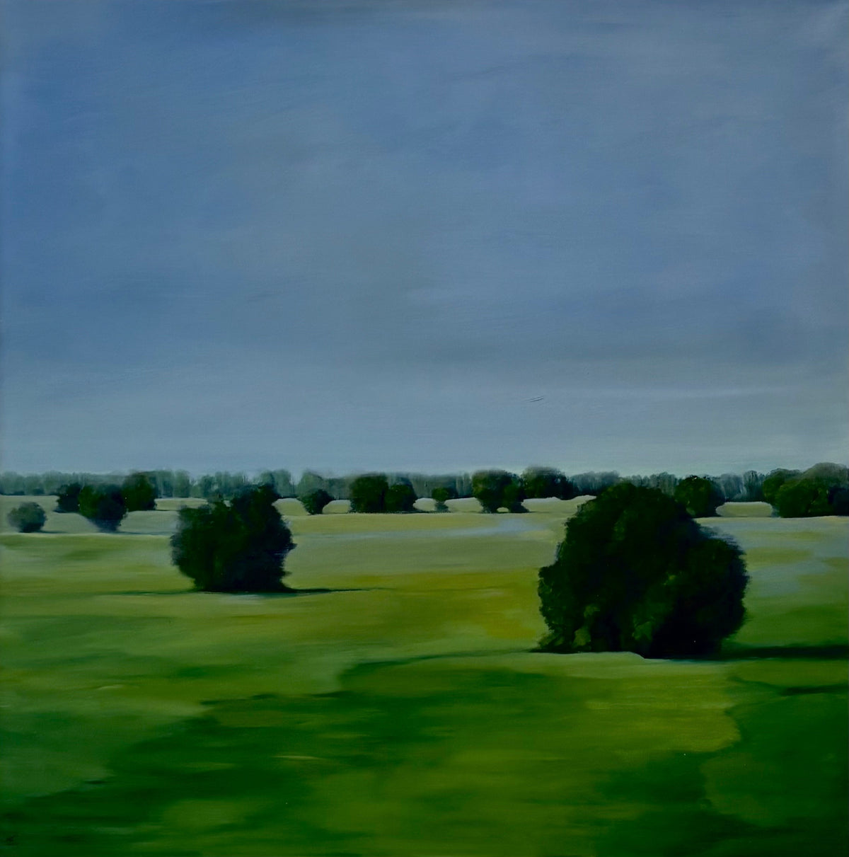 Resting Meadows
