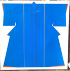 Blue Kimono