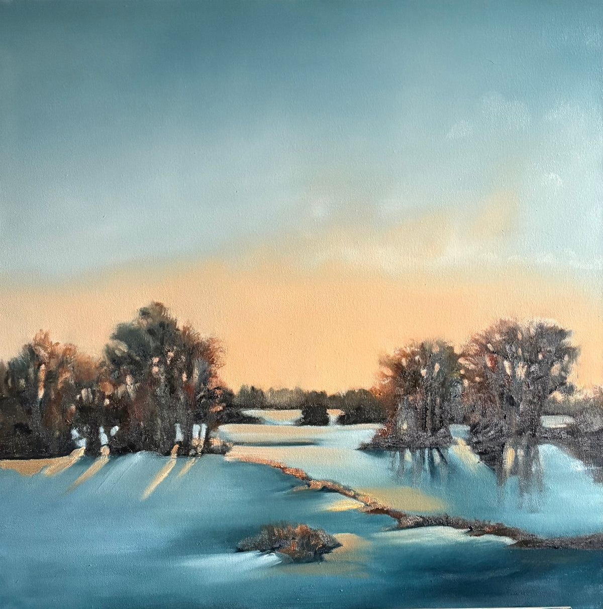 Evening Light